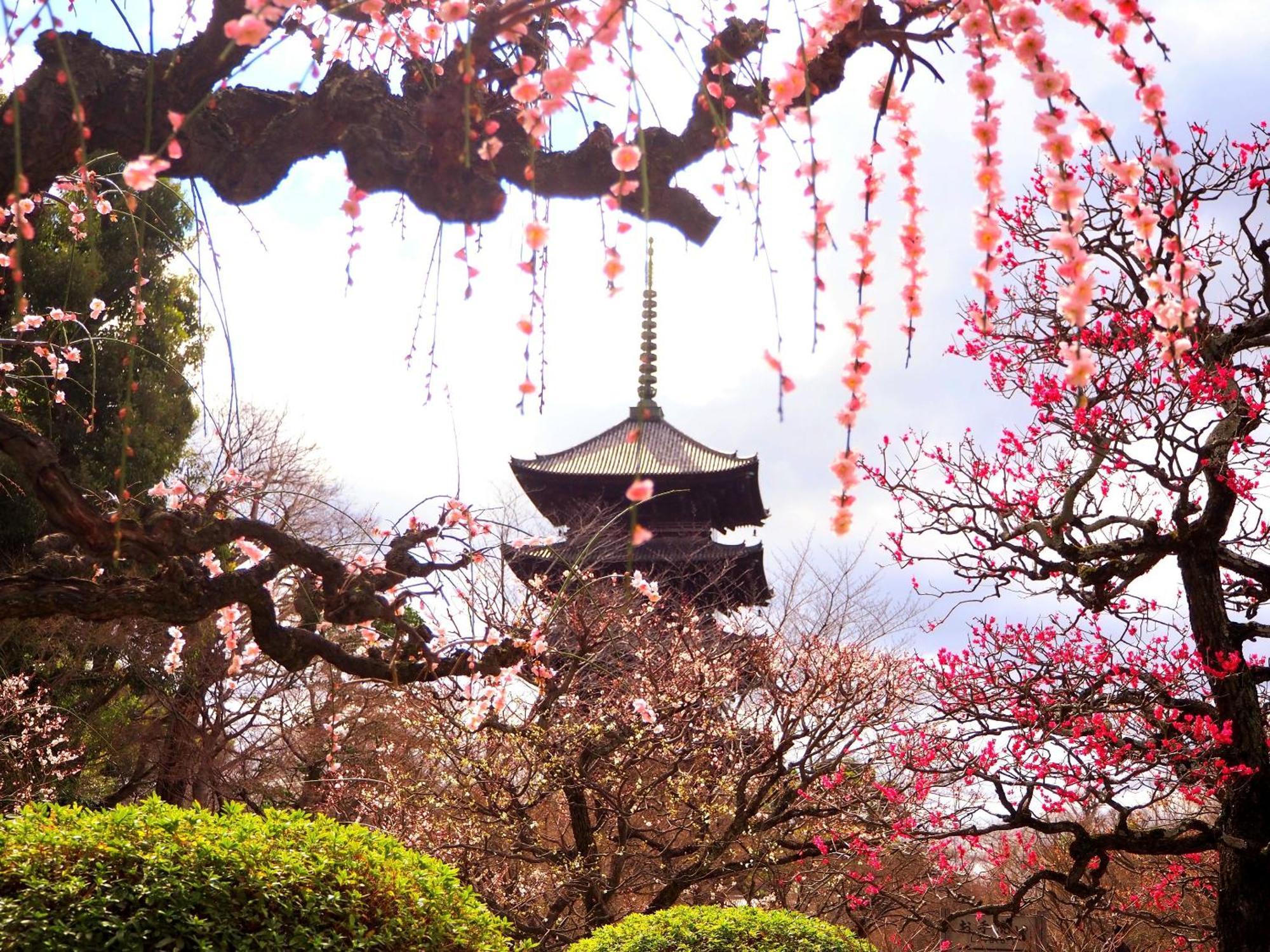 Stay SAKURA 京都 东本愿寺Ⅰ 外观 照片